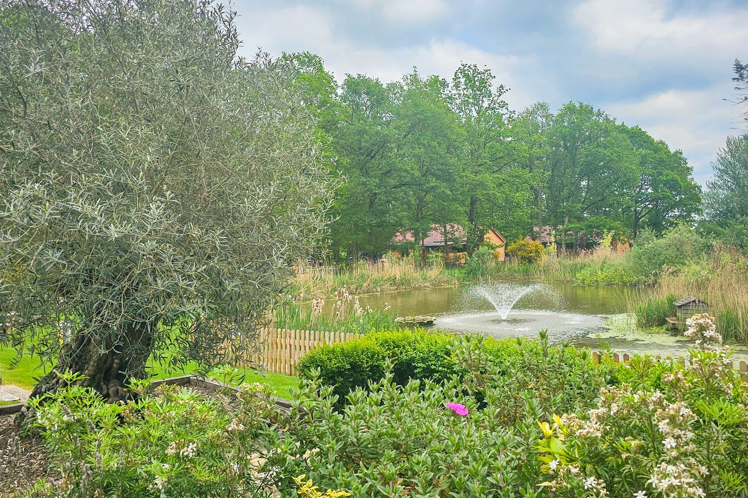 Peaceful lake with a central fountain at Hay’s Wood Retreat in Norfolk, UK, surrounded by colourful flowers, lush bushes, and mature trees. This scenic area showcases the retreat’s commitment to conservation and careful landscaping, providing guests with tranquil views, a haven for local wildlife, and a calm space to enjoy the natural beauty of this hidden countryside escape.