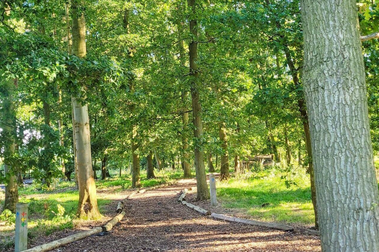 Scenic woodland walk through Hay’s Wood Retreat in Norfolk, surrounded by ancient trees. A nature trail for walking and wildlife spotting at Hay’s Wood Retreat woodland in Norfolk