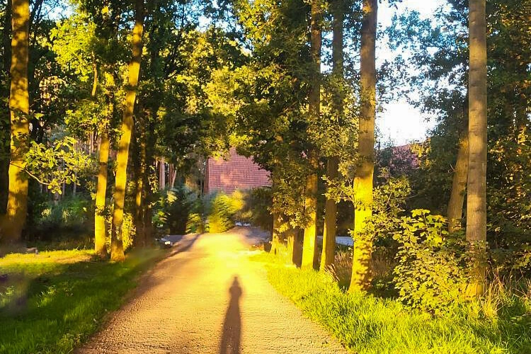 Quiet trail curving around the grounds of Hay’s Wood Retreat in Norfolk, UK, with the long shadow of a guest cast along the path. Surrounded by trees, benches, and wooden balance beams, this gentle walk lets visitors explore the retreat at their own pace while soaking up the peaceful, conservation-focused woodland setting that makes Hay’s Wood a hidden countryside escape.