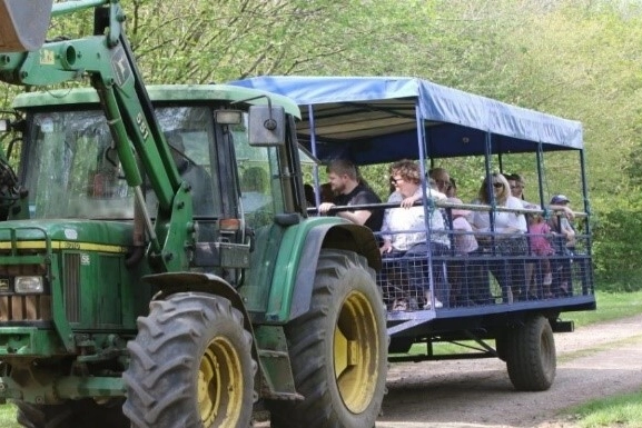 Families enjoying a fun tractor ride at nearby Church Farm, a fantastic family-friendly activity close to Hays Wood Retreat in Norfolk.
