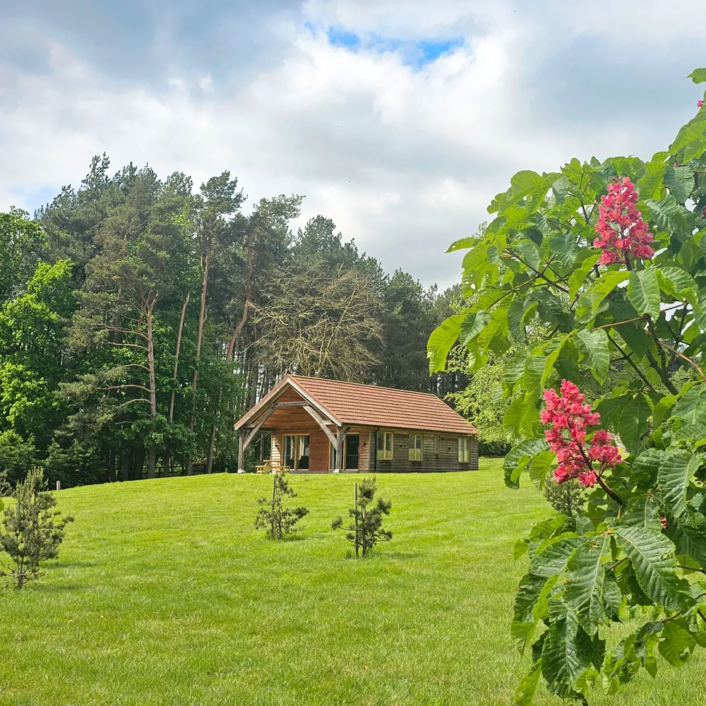 A beautiful two-bedroom luxury lodge at Hays Wood Retreat, set against a vibrant tree with striking red flowers, offering a picturesque Norfolk holiday.