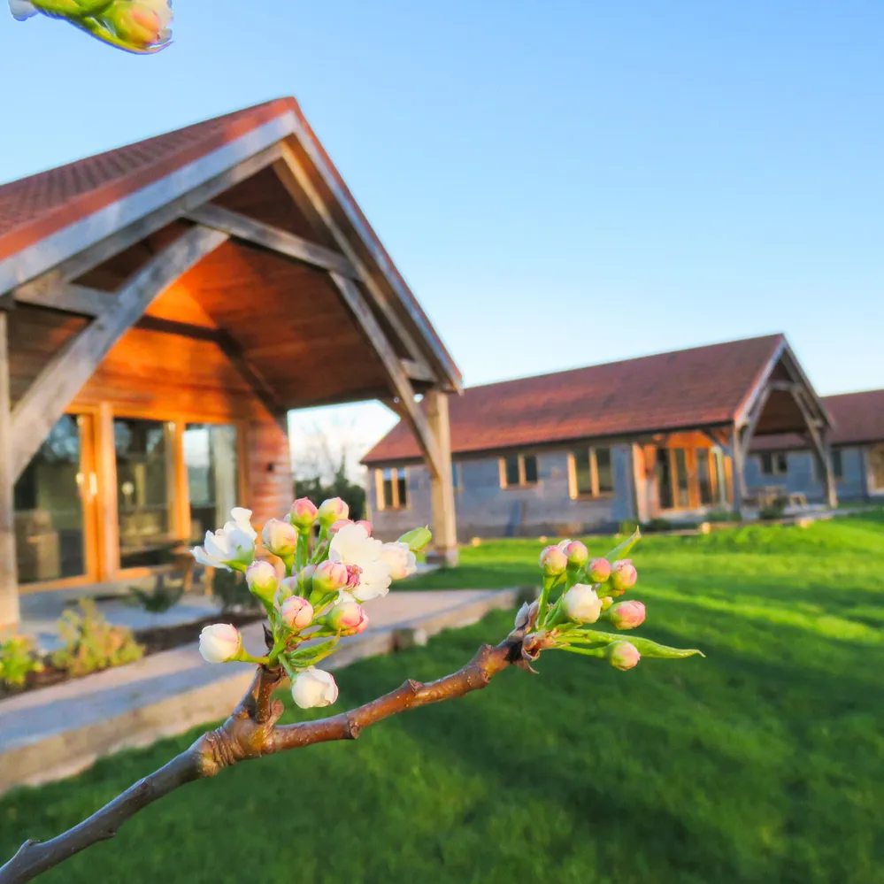 The inviting exterior of our three-bedroom lodge at Hays Wood Retreat, surrounded by spring blossoms, promising a relaxing and memorable holiday in the Norfolk countryside.
