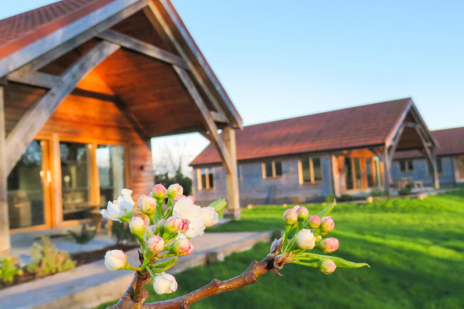 The inviting exterior of our three-bedroom lodge at Hays Wood Retreat, surrounded by spring blossoms, promising a relaxing and memorable holiday in the Norfolk countryside.