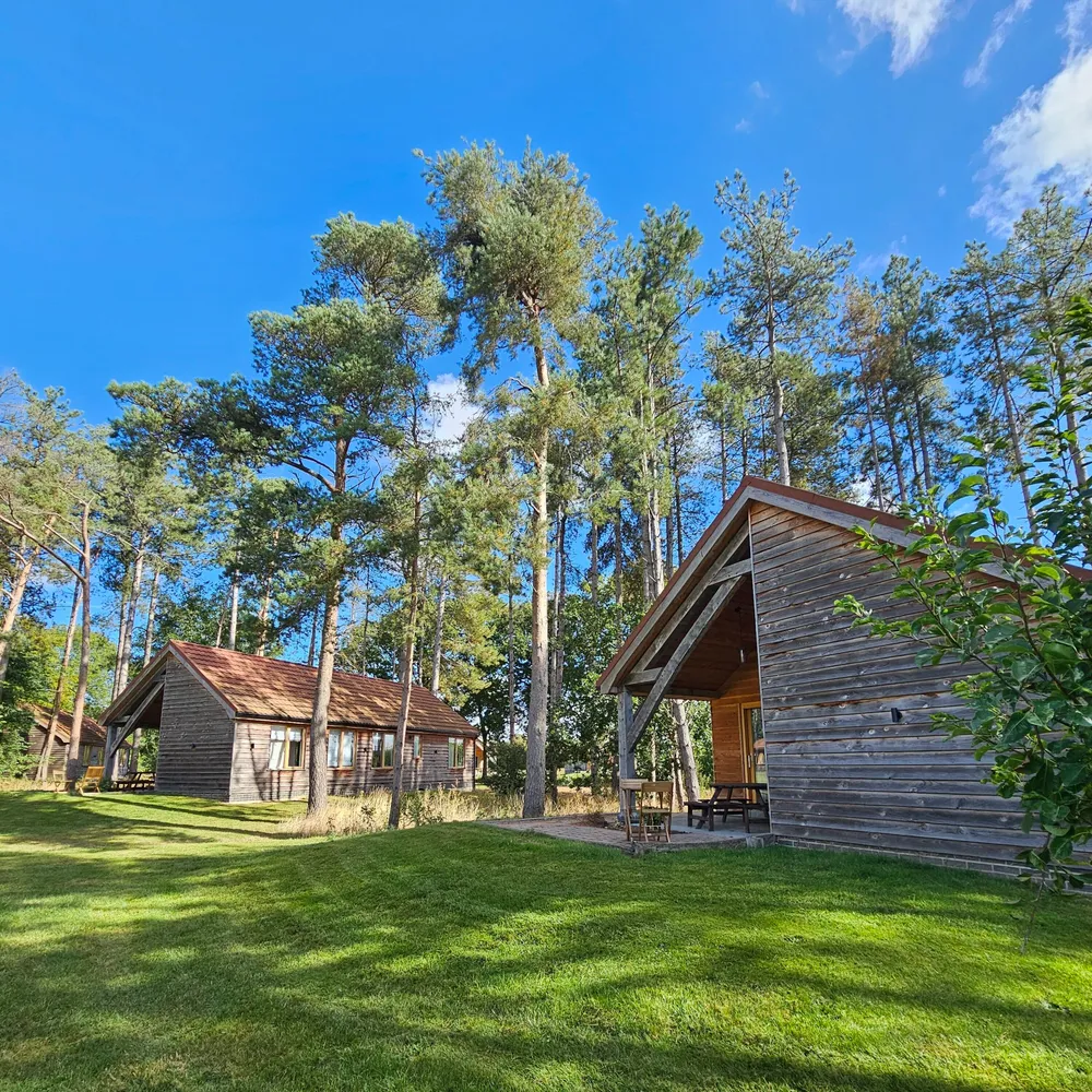 Four-bedroom luxury lodge at Hay’s Wood Retreat with private decking under blue skies. Spacious, modern, and surrounded by woodland.